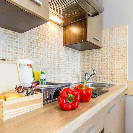 Apartament Studio Gronik Zakopane * Koscielisko